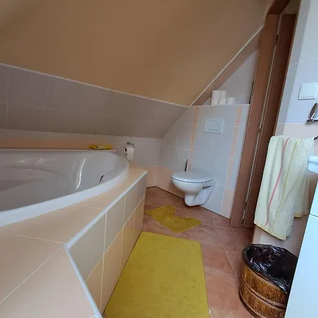 Jaroslav Ambroz Elvomont Apartament *