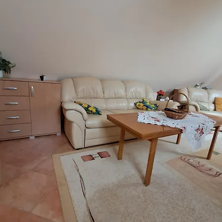 Apartament Jaroslav Ambroz Elvomont