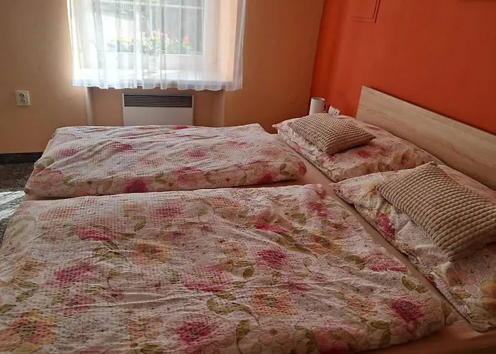 Jaroslav Ambroz Elvomont Chlum u Trebone